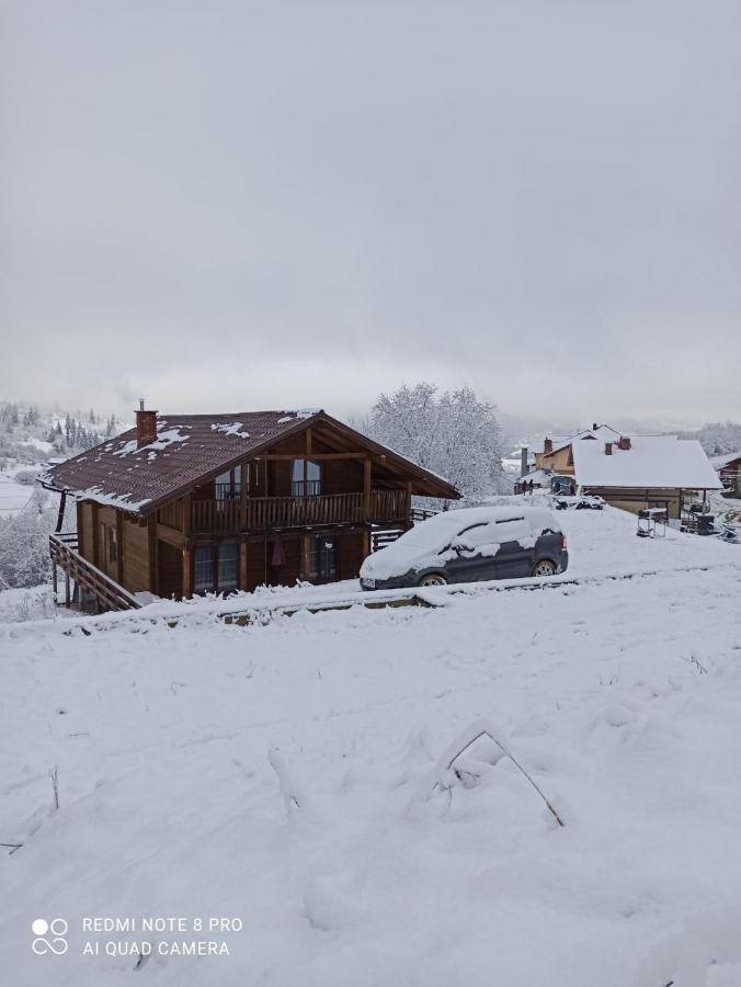 Cottage Kurshevel Slavske Dış mekan fotoğraf