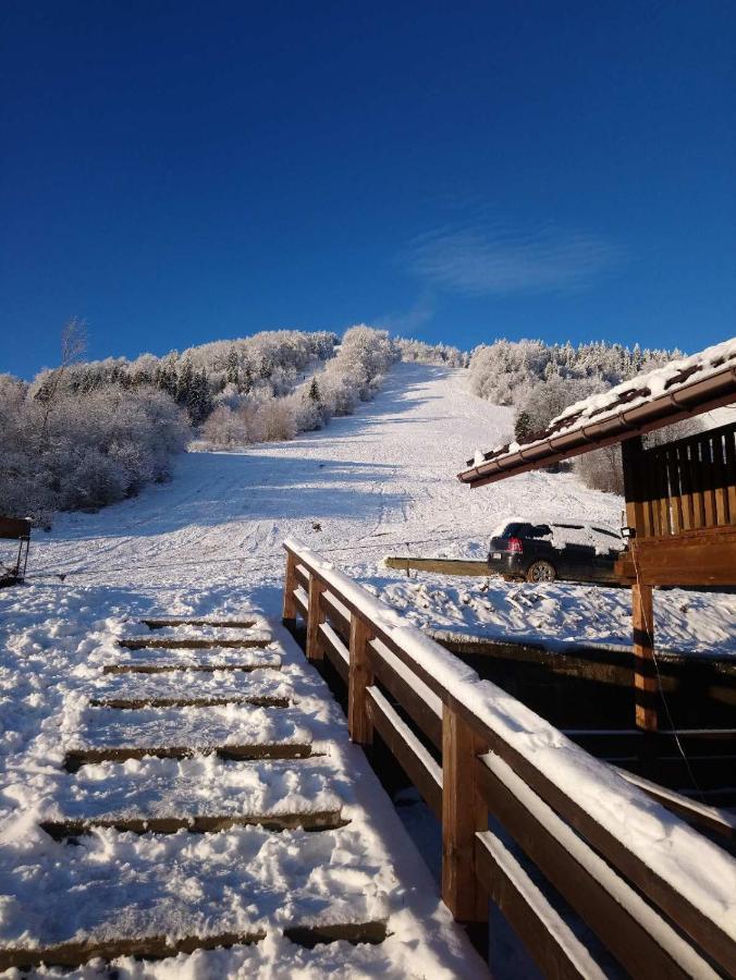 Cottage Kurshevel Slavske Dış mekan fotoğraf