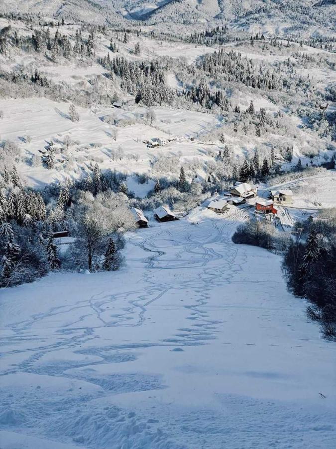 Cottage Kurshevel Slavske Dış mekan fotoğraf