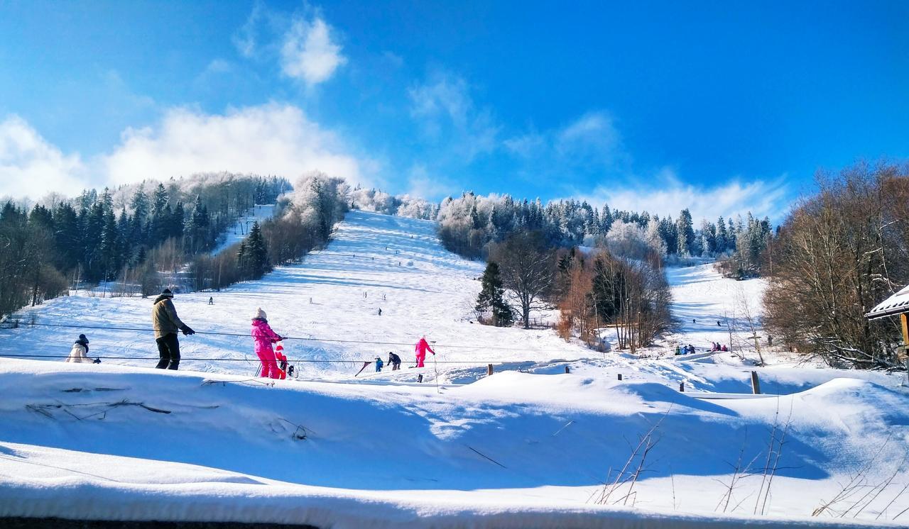 Cottage Kurshevel Slavske Dış mekan fotoğraf