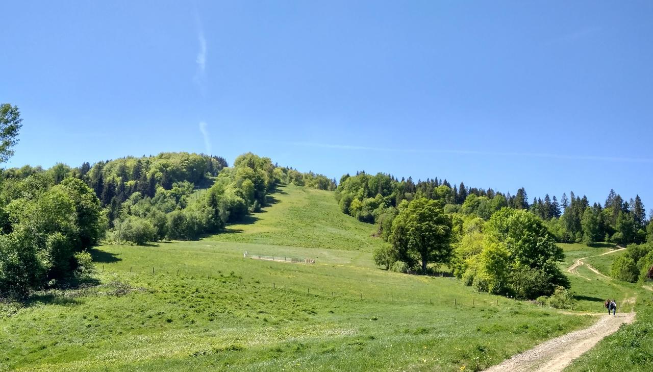 Cottage Kurshevel Slavske Dış mekan fotoğraf